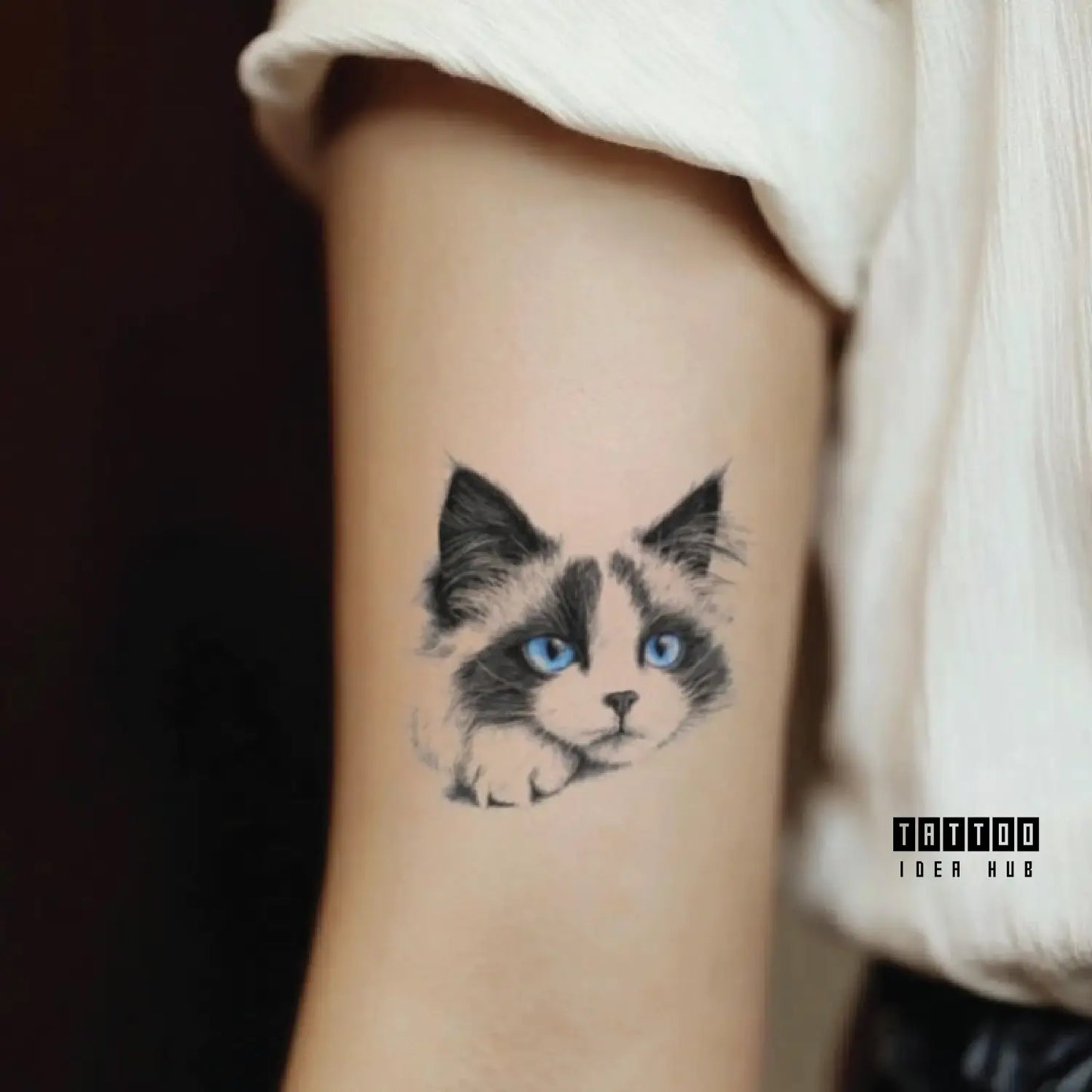 ragdoll cat bicep temporary tattoo idea design