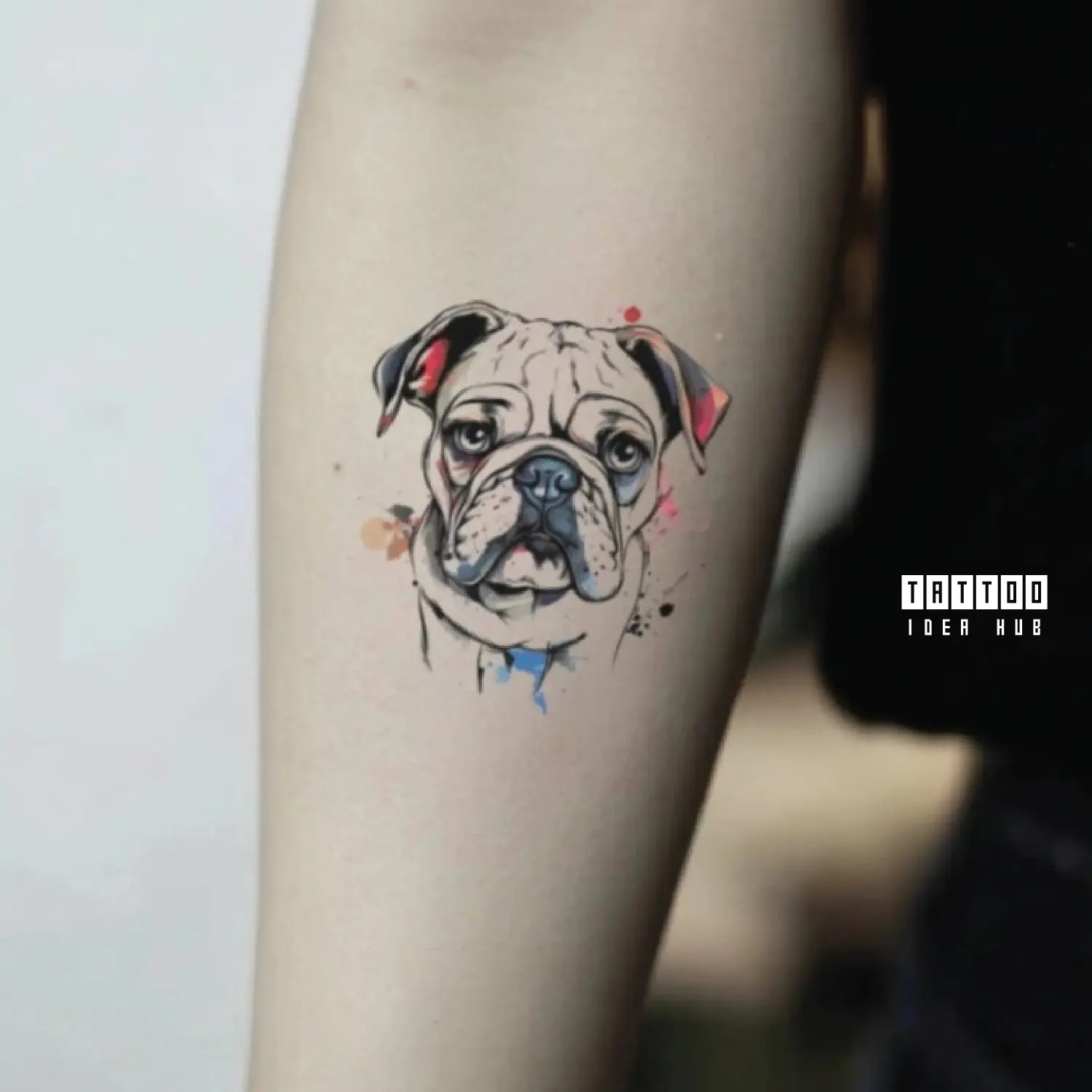 watercolor bulldog forearm temporary tattoo idea design